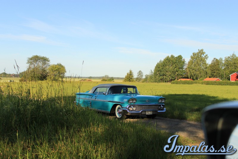 SM-2017 (102) red.jpg