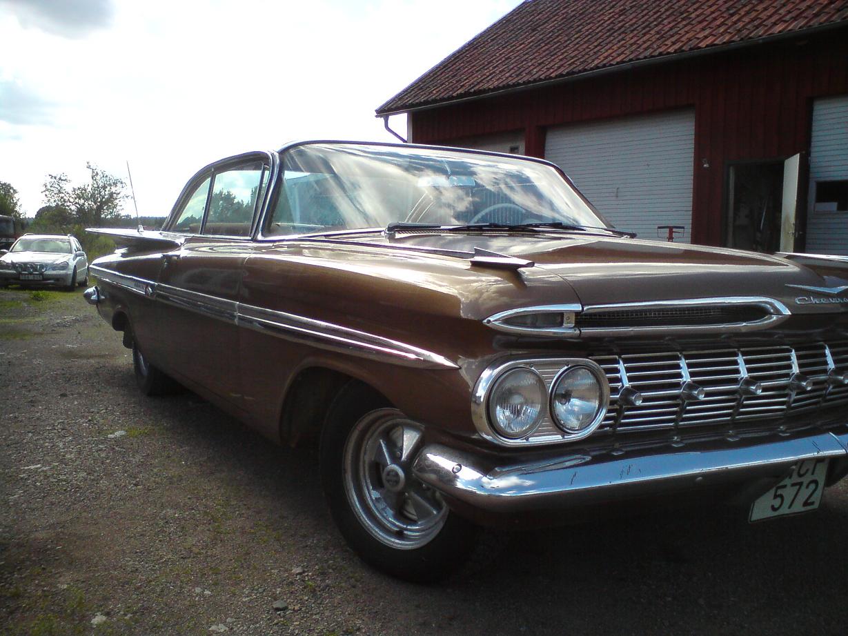 Impala02.JPG