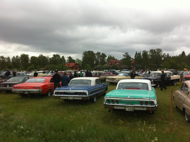 impalas.jpg