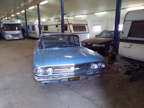 impala1.jpg