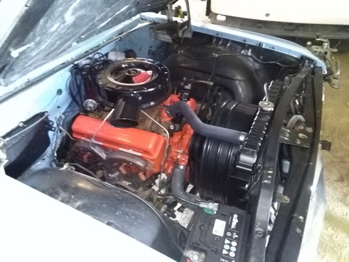 impala3.jpg