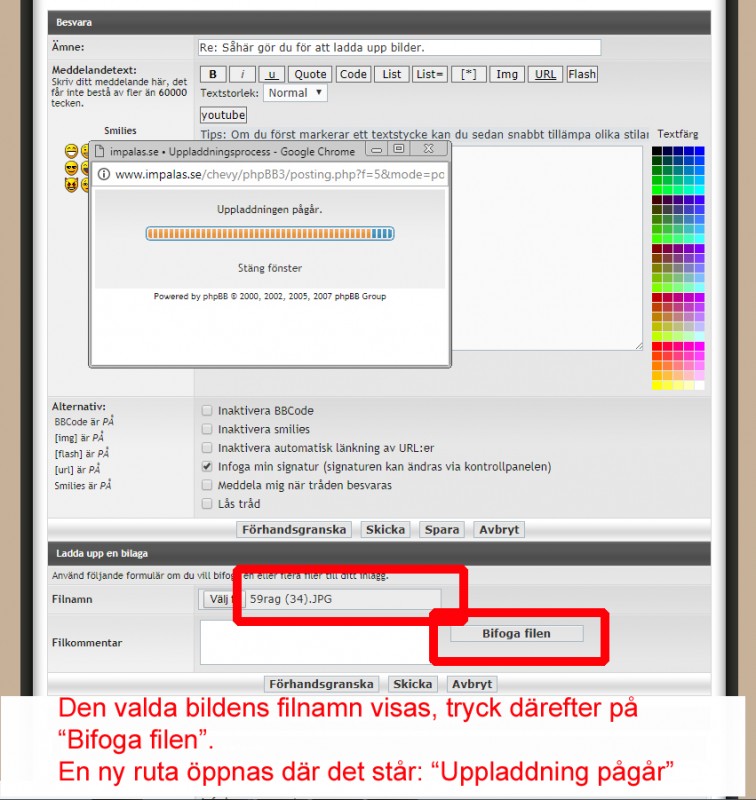 Ladda (5).jpg